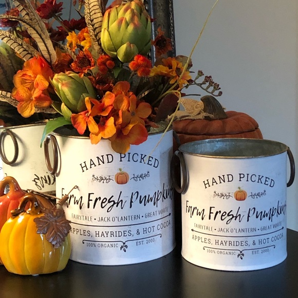 Other - Farm Fresh Pumpkins Metal Buckets - Set of 2